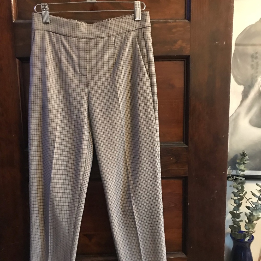 Aritzia Babaton Pants